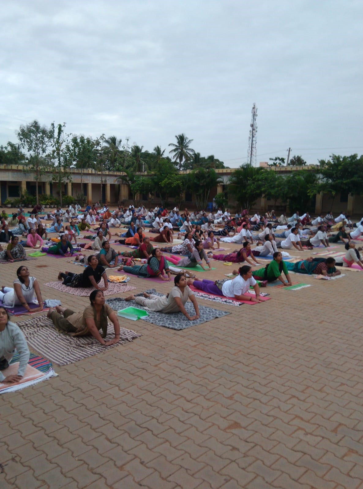 Yoga Activity